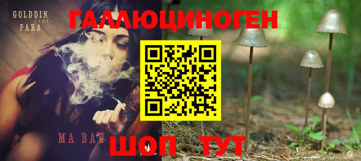 Псилоцибиновые грибы GOLDEN TEACHER Калининград